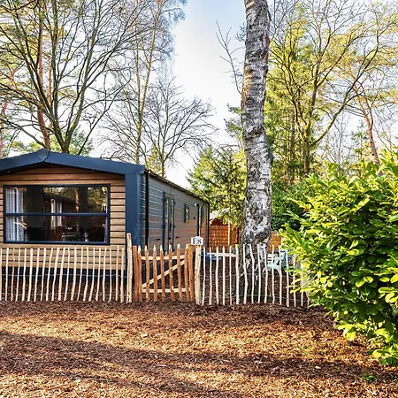 Met 3 Slaapkamers In Bosrijke Omgeving * Doornspijk